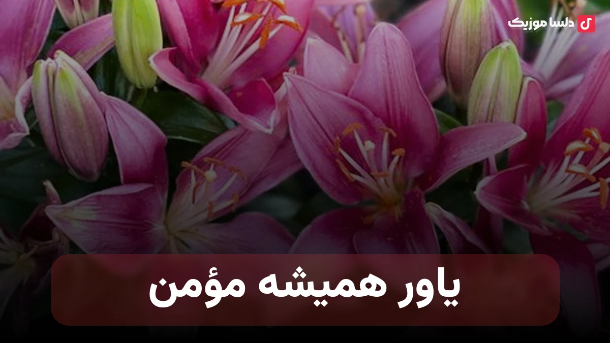 یاور همیشه مؤمن با صدای زن فرورال هوش مصنوعی